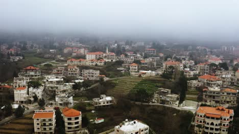 cinematic aerial drone shot of lebanese village and trees in the morning fog