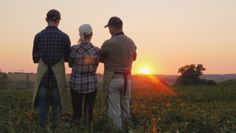 a group of farmers - a woman and two men watching the sunset over the field family agribusinest