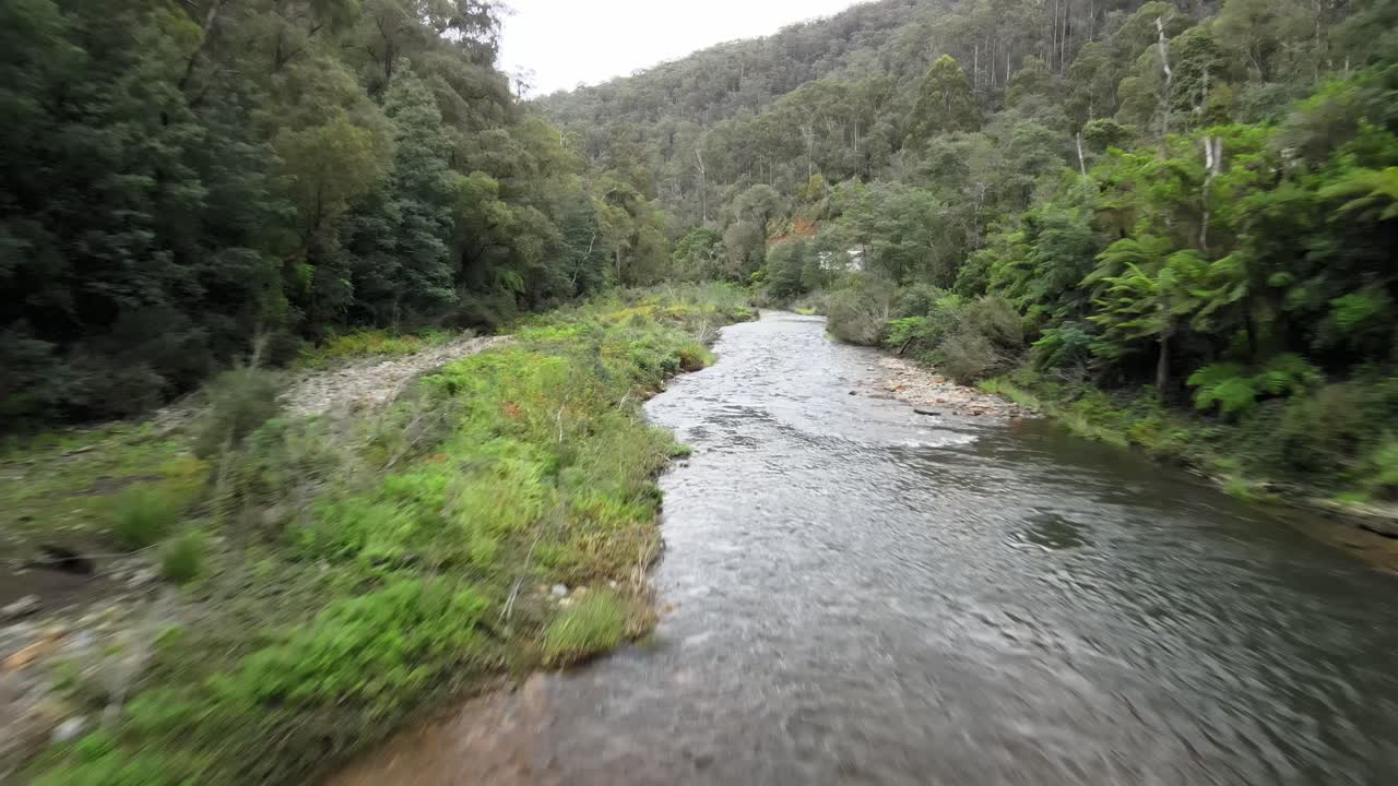 vuelo fpv por el río thompson y debajo de un puente ferroviario de tren de vapor