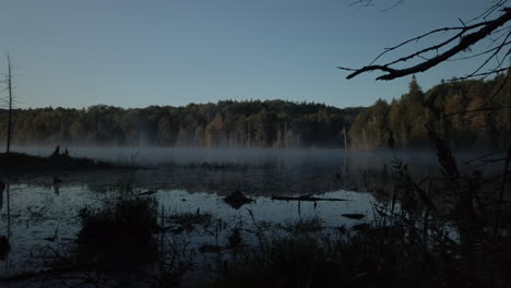 wide left to right panning shot of early morning mist on lee lake