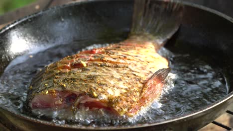 muchas especies de pescado se consumen como alimento en prácticamente todas las regiones del mundo