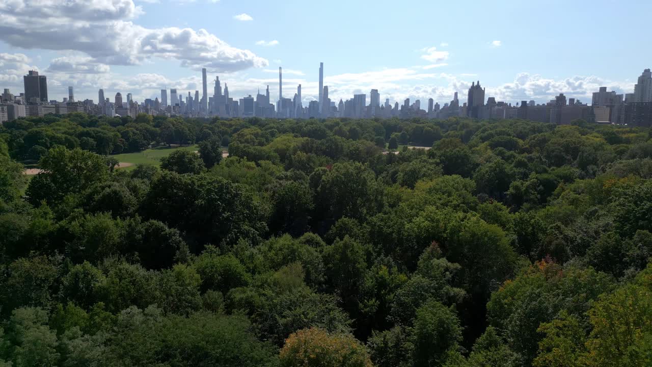 Wide Drone view of the trees and fields of Central Park and golf fields with Manhattan New York City skyline in the background at noon.