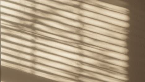 shadows-of-trees-waving-in-the-wind-through-blinds-in-a-window-reflecting-on-a-wall-in-a-house