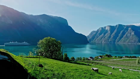 Beautiful-Sognefjord-Sognefjorden-Nature-Norway-fjord-Flam-nature-landscape