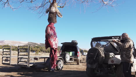 hunter in front of his car with deer in the foreground that has been in the process of deboning, field dressing, gralloching and flaying