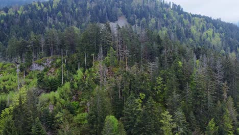 Vista-Aérea-En-órbita-Del-Bosque-De-Montaña-Oscura-En-Vosges,-Francia-4k