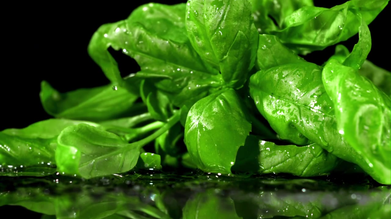 Foglie fresche di basilico verde che cadono su una superficie bagnata e riflettente al rallentatore
