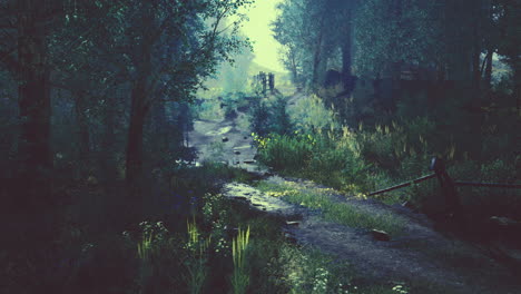 mysterious forest path illuminated by gentle moonlight and morning mist