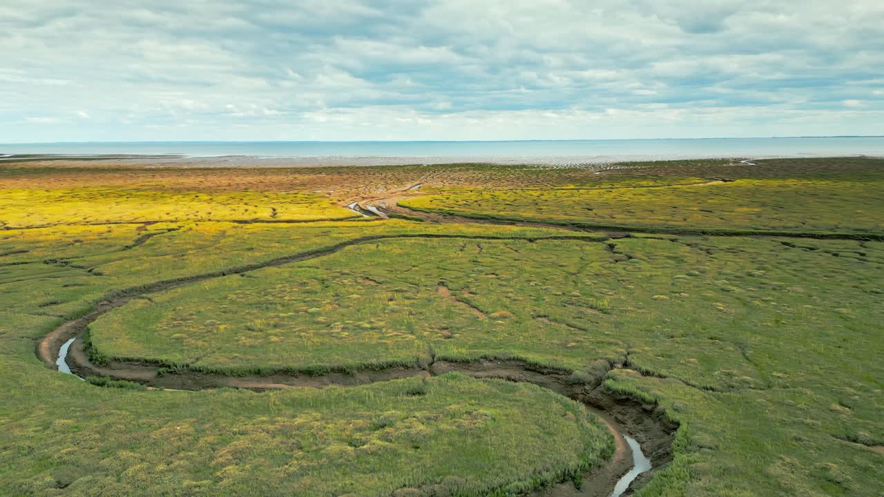 소금 습지 에서 균열 된 진 평면