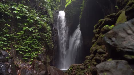 hidden waterfall in lush tropical jungle