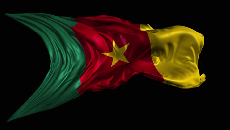 waving flag of cameroon