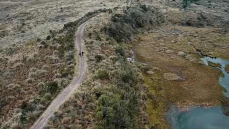 Tourists-Trekking-On-Narrow-Trail-At-The-Cayambe-Coca-National-Park-In-Napo,-Ecuador-At-Daytime