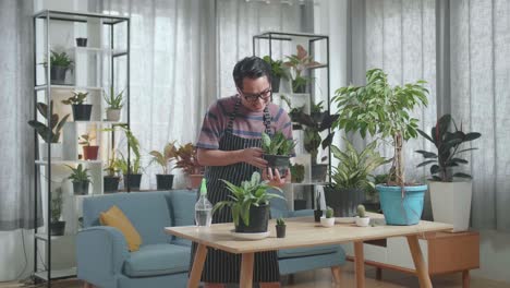 hombre asiático mirando la planta en la mano y sacudiendo la cabeza