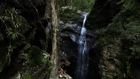 water cascading down into naturally formed swimming hole creating a tropical rainforest oasis