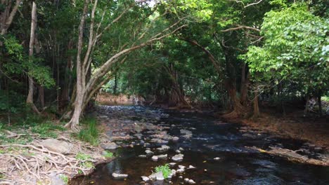 crossing-a-creek-looking-downstream