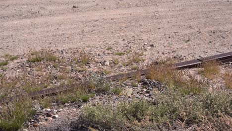 desert landscape point of view