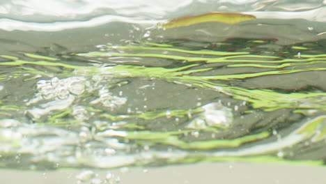 water splash and ripples
