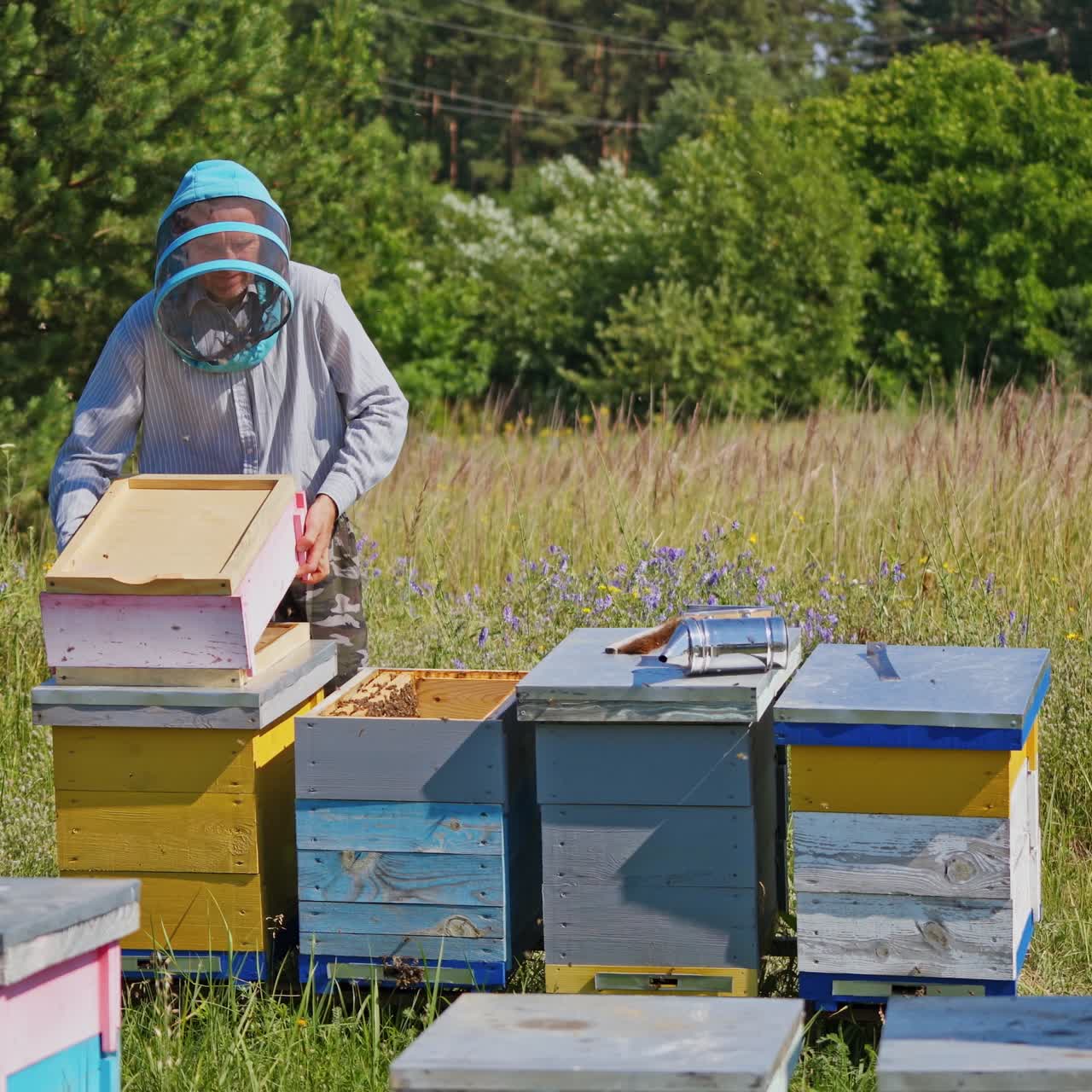 Apiculture process. Beekeeper in protective hat working with wooden boxes. Apiarist inspects bees in the beehive in the garden. Apiary in summer.