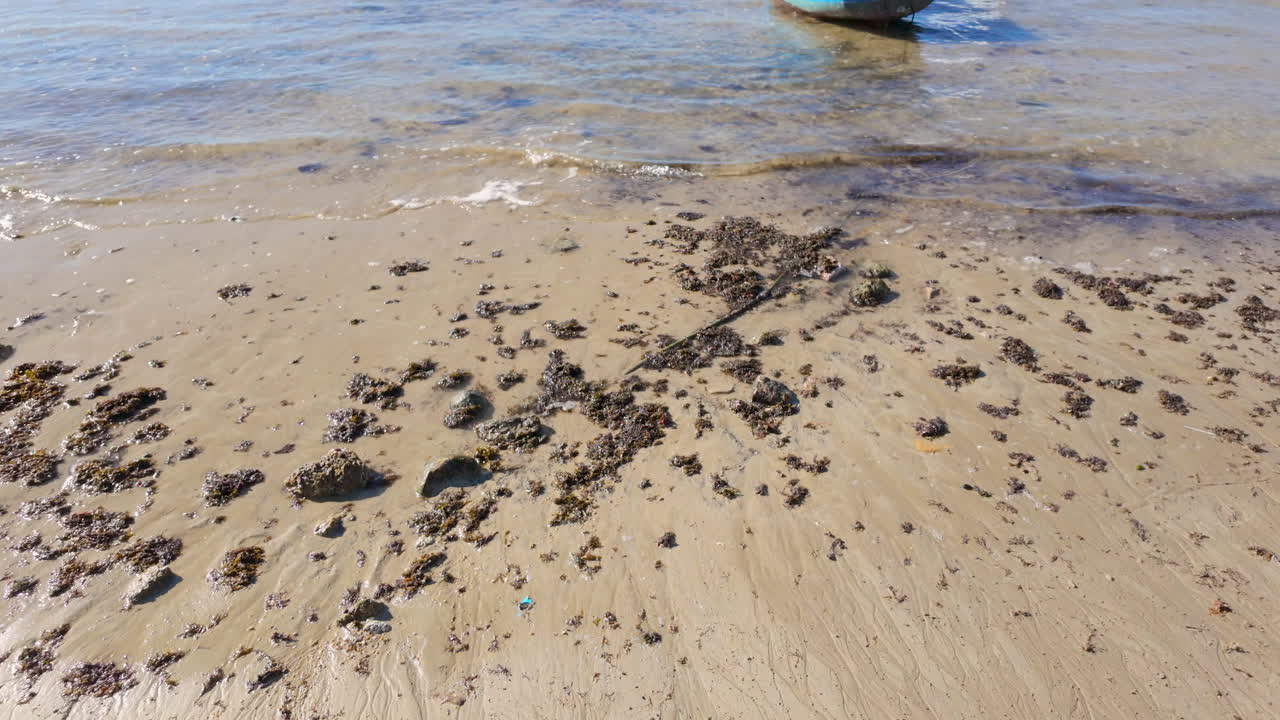 모래 연안에 외로운 파란색 보트와 함께 조용한 해변 장면, 해조류가 어져, 은 하늘 아래의 조류의 흐름과 흐름을 나타니다.