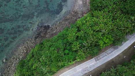 Top-down-aerial-view-of-curves-of-coastal-road-with-lush-palm-trees-and-rocky-beach-at-low-tide-in-Catanduanes,-Philippines