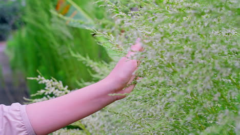 Girl-hand-moving-over-grass-field-with-white-green-flowers