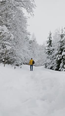 person walking in the forest