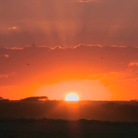 Un-Amanecer-Radiante-En-Las-Llanuras-De-Africa