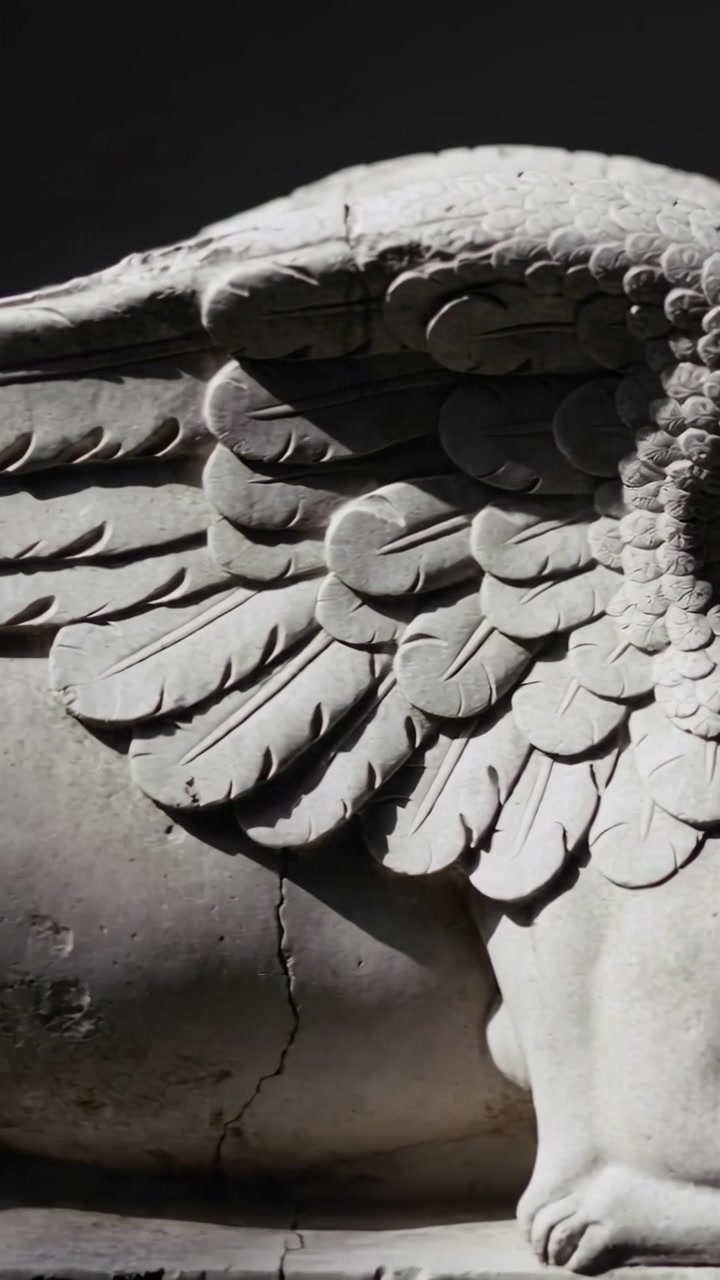 Video verticale: Telecamera in panoramica che rivela un'ala e una zampa di pietra intagliata in un museo, evidenziando una crepa.
