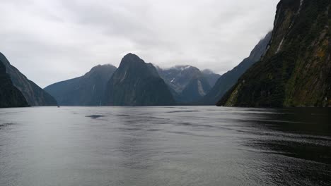 from the bow of a boat cruising through picturesque milfor sound new zealand