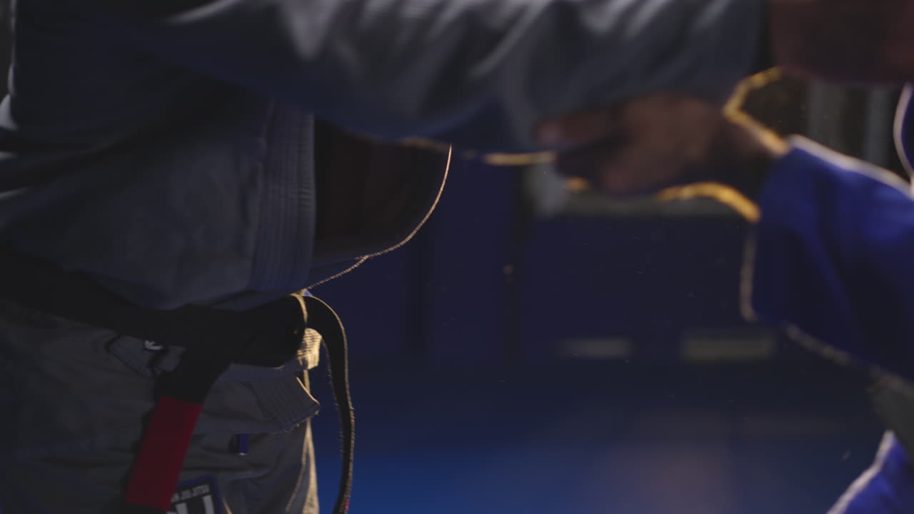 Brazilian Jiu-Jitsu Training