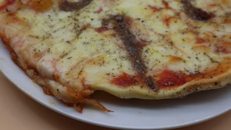 pizza italiana redonda casera fresca con queso mozzarella y anchoas