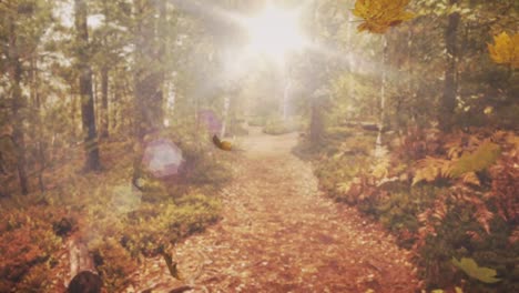 Composite-video-of-multiple-autumn-leaves-falling-against-sun-shining-through-forest-pathway