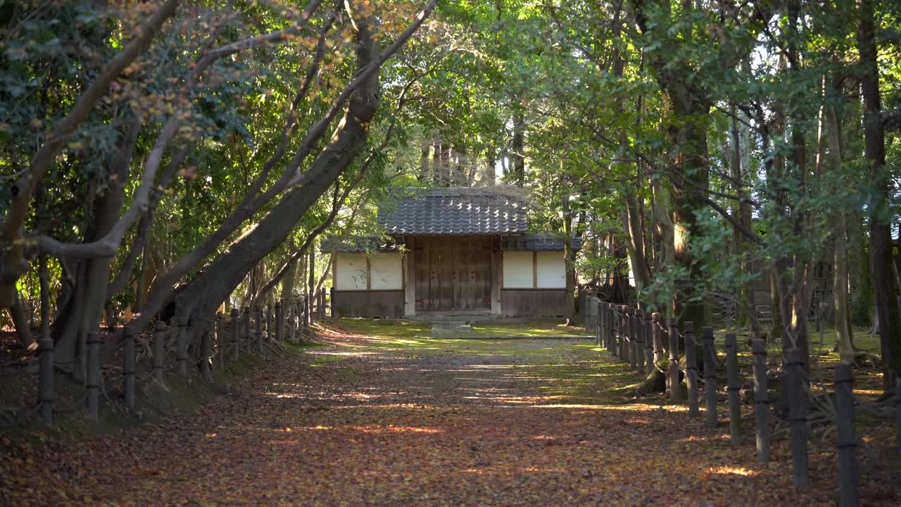 日本の妙高寺の森のシネマティックビュー