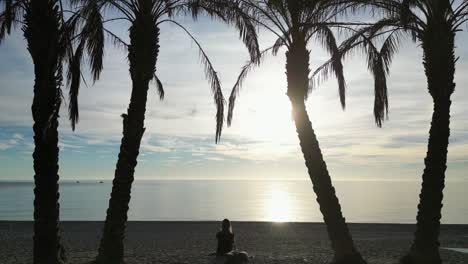 silhouette of palm trees, adult woman and dog at the beach in spain - aerial 4k