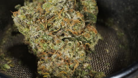 dry cbd medical cannabis weed buds outside of a jar on table, macro close-up of medical marijuana flower.