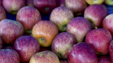 Manzanas-A-La-Venta-En-El-Mercado-Libre,-Plan-Vertical