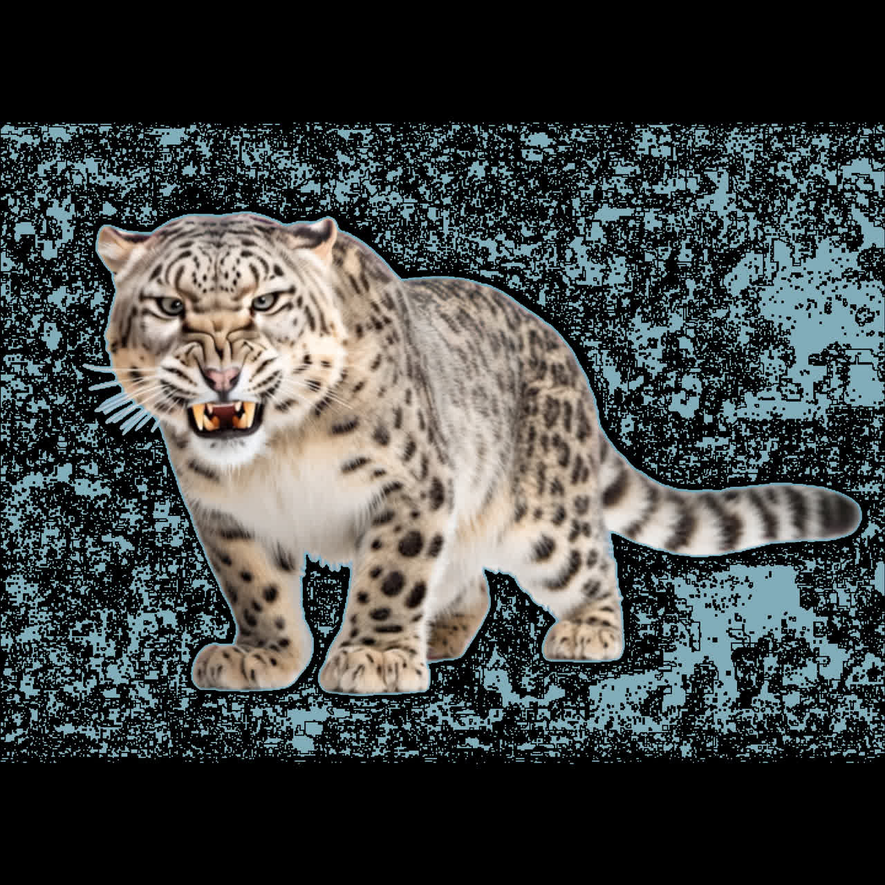 Fierce snow leopard roaring animation isolated asset, transparent 4K video, alpha channel, ProRes