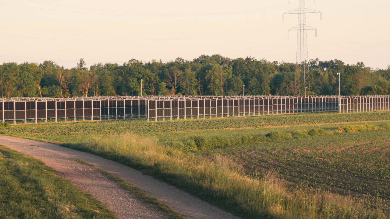 Inovativní agrivoltaická instalace s vertikálními solárními panely na venkovském poli. Soužití udržitelného zemědělství a výroby obnovitelné energie.