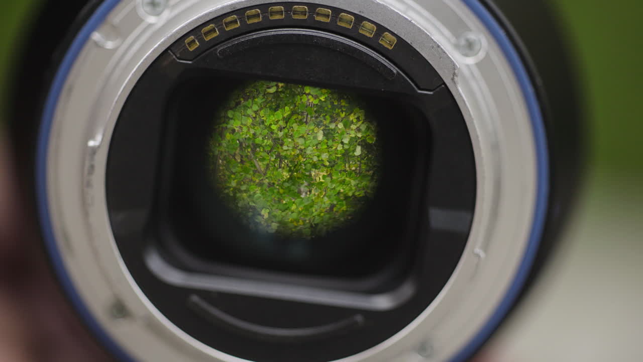 Camera Lens Focusing on Green Plants