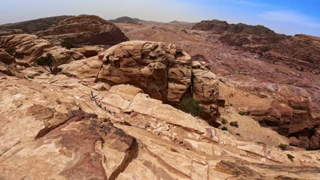 bare rocks with scarce trees or bushes growing along. amazing landscapes of jordan, west asia.