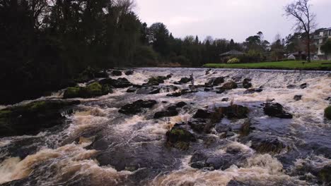 one of the best fishing rivers in co antrim flowing from the glens of antrim hills the brown water colours pick up iron and soil colours and is a spawning river for dollaghan trout a native species