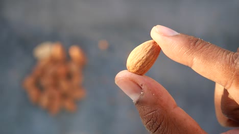 a hand holding a single almond