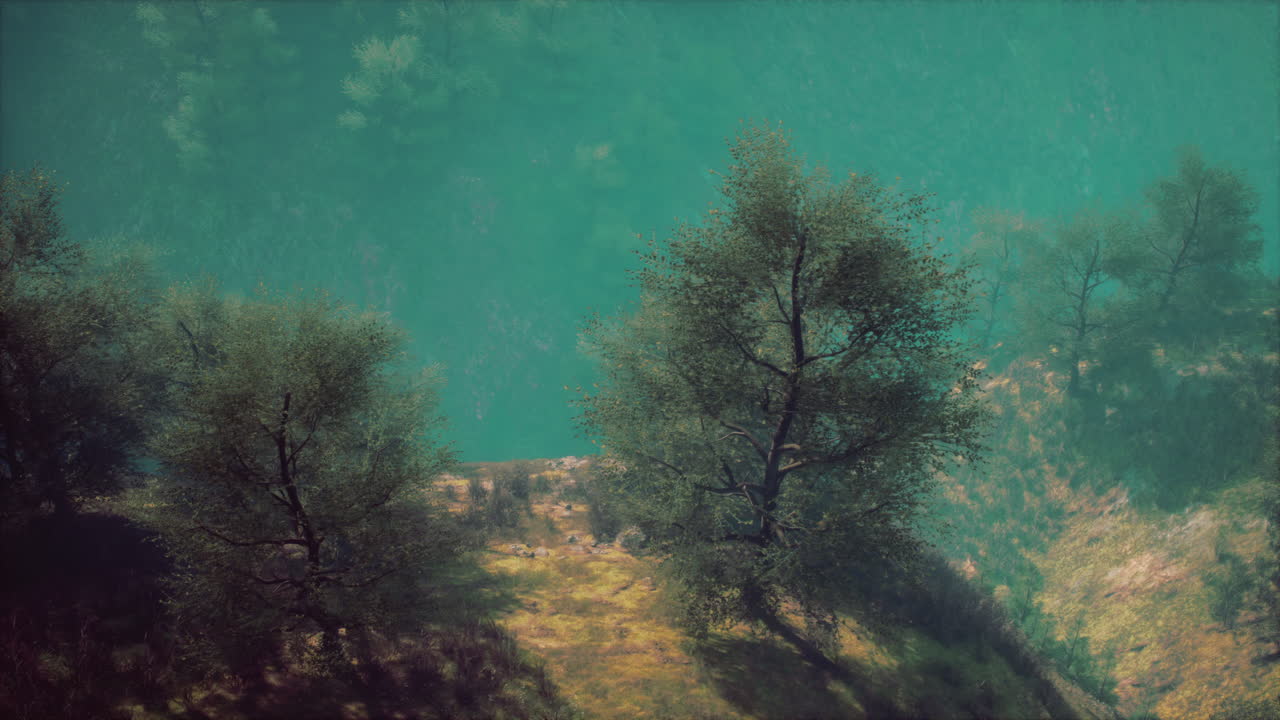 paisaje de valle de montaña con niebla