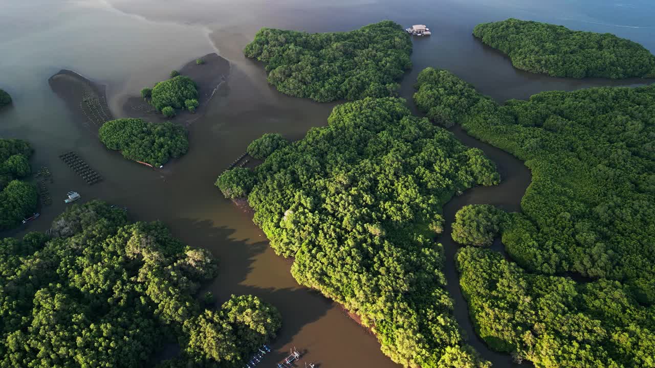 Aerial perspective of Bali mangroves shows natural waterways framed by vibrant trees, sandy inlets, and small fishing boats that highlight the peaceful tropical environment