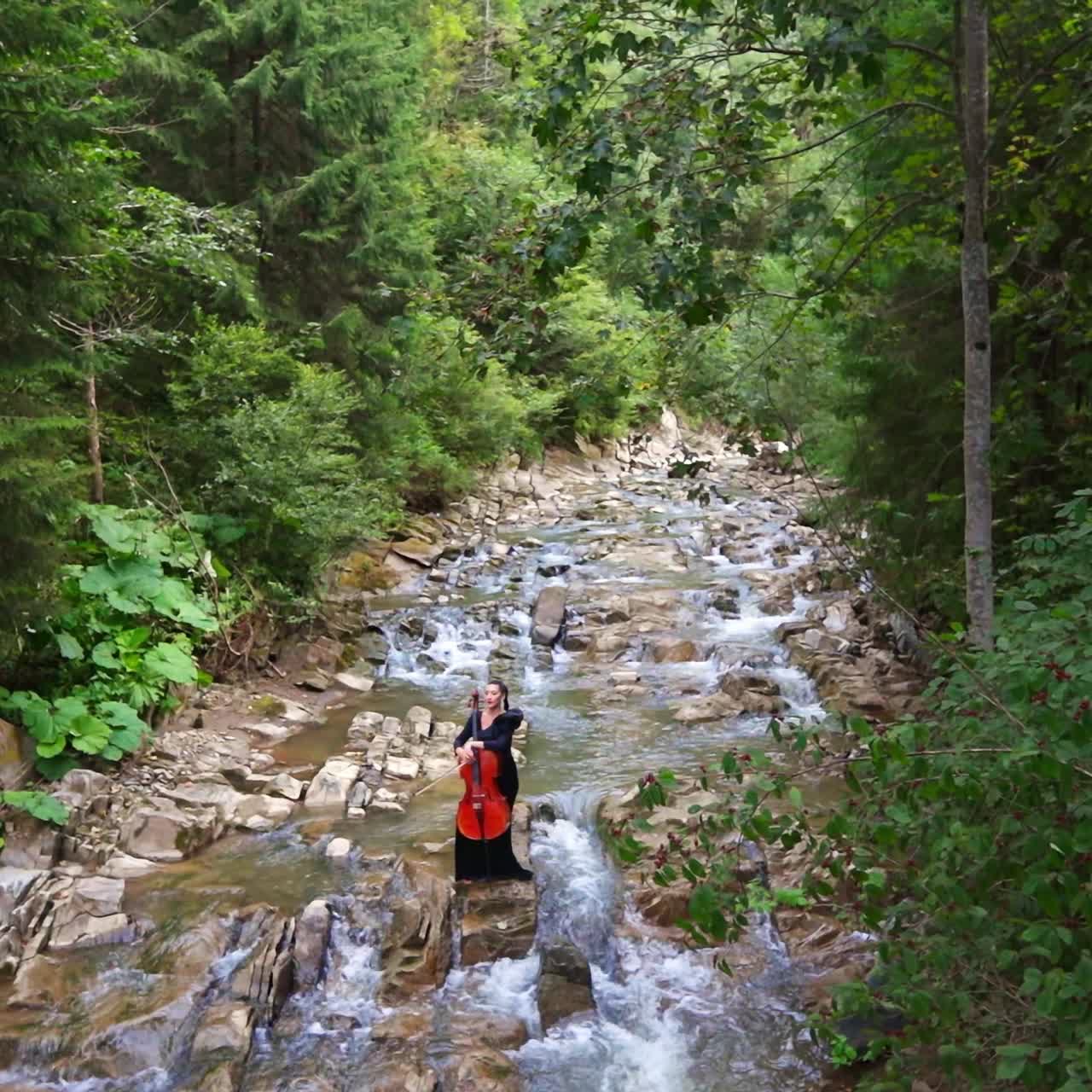 Young woman cello player. Beautiful cellist classical musician with musical instrument on nature