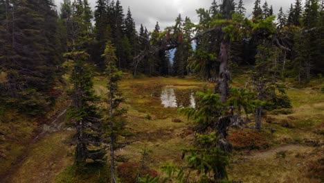 Marsh-Over-Coniferous-Mountains-Revealed-Rauris-Village-In-Salzburg-State-Of-Pinzgau,-Austria