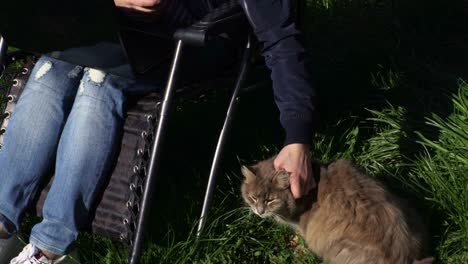 woman on chair with laptop and grey cat