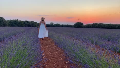 Young-woman-in-white-beautiful-dress-walking-through-lavender-field-after-sunset
