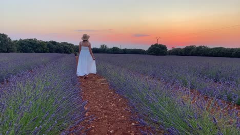 mujer joven con hermoso vestido blanco caminando por el campo de lavanda después del atardecer