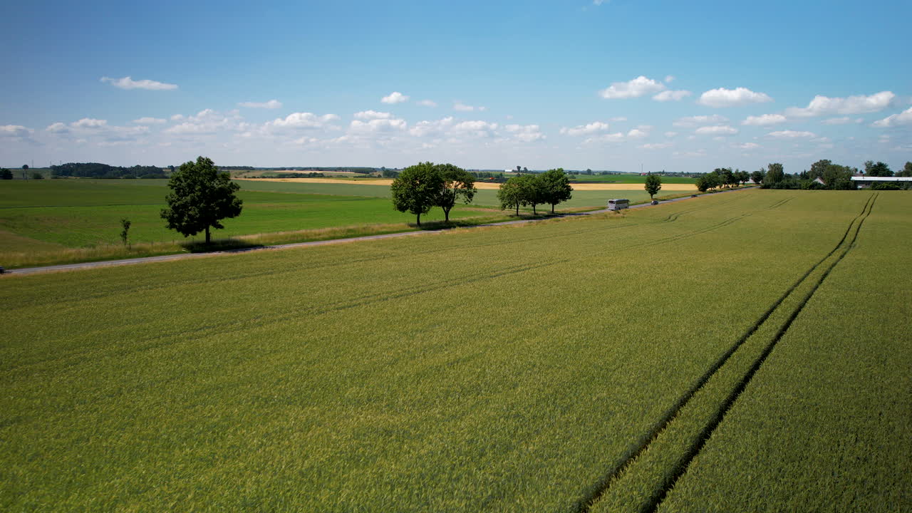 Country road with light traffic passes farm land with cereal grain crops, aerial